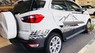 Ford EcoSport Titanium 2018 - Bán xe Ford EcoSport 2018, tặng ngay gói phụ kiện lên đến 20 triệu