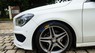 Mercedes-Benz CLA class CLA250 4Matic 2014 - Bán Mercedes Benz CLA 250 4Matic 2014, 50000KM