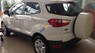 Ford EcoSport Titanium 1.5P AT 2017 - Bán ô tô Ford EcoSport Titanium 1.5P AT sản xuất 2017, màu trắng