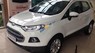 Ford EcoSport Titanium 1.5P AT 2017 - Bán ô tô Ford EcoSport Titanium 1.5P AT sản xuất 2017, màu trắng