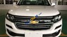 Chevrolet Colorado  2.5 LT (4x2 MT) 2018 - Bán xe Chevrolet Colorado 2.5 LT (4x2 MT) năm 2018, màu trắng, giá tốt