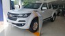 Chevrolet Colorado 2.5 MT 4x4 2018 - Cần bán Chevrolet Colorado 2.5 MT 4x4 2018, màu trắng, nhập khẩu giá cạnh tranh