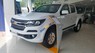 Chevrolet Colorado LT MT 4x4 2018 - Cần bán xe Chevrolet Colorado LT MT 4x4 sản xuất năm 2018, màu trắng, xe nhập