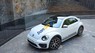 Volkswagen New Beetle 2018 - Bán Volkswagen New Beetle năm 2018, màu trắng, nhập khẩu nguyên chiếc