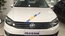 Volkswagen Polo 2016 - Cần bán Volkswagen Polo năm 2016, màu trắng, nhập khẩu, giá 650tr