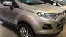 Ford EcoSport 2015 - Bán Ecosport số sàn 2015 màu bạc, xe cá nhân biển Sài Gòn