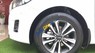 Kia Sedona  DAT  2018 - Bán ô tô Kia Sedona DAT sản xuất 2018, màu trắng