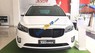 Kia Sedona  DAT  2018 - Bán ô tô Kia Sedona DAT sản xuất 2018, màu trắng