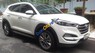 Hyundai Tucson 2.0ATH  2017 - Bán Hyundai Tucson 2.0ATH năm 2017, màu trắng, nhập khẩu nguyên chiếc, 930tr