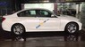 BMW 3 Series 320i 2013 - Bán BMW 3 Series 320i năm sản xuất 2013, màu trắng, xe nhập giá cạnh tranh