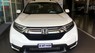 Honda CR V 1.5G 2018 - Cần bán Honda CRV 2018 nhập khẩu Thái Lan - Honda ô tô Cần Thơ