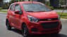 Chevrolet Spark Van Duo 2018 - Bán Chevrolet Spark Duo đủ màu, xe giao ngay, hỗ trợ trả góp, khuyến mãi lớn - LH ngay 097.123.6893