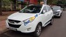 Hyundai Tucson   2010 - Bán xe Hyundai Tucson năm sản xuất 2010, màu trắng