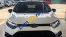 Ford EcoSport Titanium  2017 - Cần bán xe Ford EcoSport Titanium năm sản xuất 2017, màu trắng