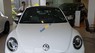 Volkswagen Beetle Dune 2018 - Bán Volkswagen Beetle Dune, sản xuất 2018, màu trắng, nhập khẩu nguyên chiếc, có xe giao ngay, khuyến mãi khủng tháng 12