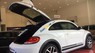 Volkswagen Beetle  Dune 2018 - Cần bán Volkswagen Beetle Dune sản xuất năm 2018, màu trắng, xe nhập