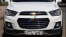 Chevrolet Captiva LTZ REVV  2016 - Bán Chevrolet Captiva LTZ REVV năm 2016, màu trắng số tự động