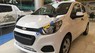 Chevrolet Spark LS  2018 - Cần bán Chevrolet Spark LS đời 2018, màu trắng