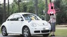 Volkswagen New Beetle  1.6AT 2009 - Bán xe Volkswagen New Beetle 1.6AT năm sản xuất 2009, màu trắng, xe nhập chính chủ, giá chỉ 570 triệu