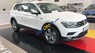 Volkswagen Tiguan 2017 - Bán ô tô Volkswagen Tiguan All Space sản xuất năm 2017, màu trắng, nhập khẩu, có xe giao ngay, khuyến mãi khủng tháng 12