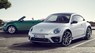 Volkswagen Beetle 2017 - Cần bán xe Beetle Volkswagen màu trắng, nhập khẩu nguyên chiếc