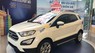 Ford EcoSport Trend Dragon 1.5L 2018 - Bán Ford EcoSport 1.5L AT 2018, khuyến mãi đặc biệt khi mua xe, PK: BHVC, phim, camera, LH: 091.888.9278 để được tư vấn