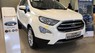 Ford EcoSport  Titanium 1.0L AT 2018 - Bán Ford EcoSport Titanium 1.0L AT, 2018, màu trắng, tặng bảo hiểm thân vỏ, hỗ trợ vay 90% giá xe, thủ tục nhanh gọn