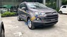 Ford EcoSport 2017 - Cần bán lại xe Ford EcoSport 2017, màu xám, xe chính chủ