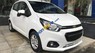 Chevrolet Spark  Van 2018 - Bán xe Chevrolet Spark Van năm sản xuất 2018, màu trắng