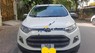 Ford EcoSport Titanium 2015 - Bán Ford EcoSport Titanium năm 2015, màu trắng chính chủ