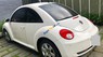 Volkswagen Beetle 1.6AT 2009 - Bán ô tô Volkswagen Beetle 1.6AT sản xuất 2009, màu trắng, xe nhập