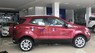 Ford EcoSport Titanium 2018 - Bán xe Ford EcoSport Titanium sản xuất năm 2018, màu đỏ, nhập khẩu, giá chỉ 648 triệu