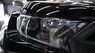 Ford Ranger Raptor 2018 - City Ford Bình Triệu bán Ford Ranger Raptor, đủ màu, giao ngay