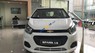 Chevrolet Spark LS 2018 - Bắc Kạn bán Chevrolet Spark đời 2018, màu trắng, 5 chỗ, 80tr lăn bánh, hỗ trợ vay trả góp lãi suất thấp