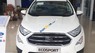 Ford EcoSport Titanium 1.0 2018 - Bán EcoSport 2018, giảm tiền mặt + dán phim, BHVC, lót sàn, bệ bước, trả trước 10%. LH 0989022295 tại Bắc Kạn
