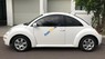 Volkswagen New Beetle 1.6AT 2009 - Bán ô tô Volkswagen New Beetle 1.6AT sản xuất 2009, màu trắng, nhập khẩu  