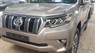 Toyota Land Cruiser PradoVX 2019 - Bán xe Prado 2019 nhập khẩu, xe đủ màu. LH: 084.765.5555