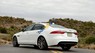 Jaguar XF Prestige   2016 - Cần bán xe Jaguar XF Prestige năm sản xuất 2016, màu trắng, xe nhập