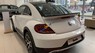 Volkswagen New Beetle 2018 - Bán xe Volkswagen New Beetle năm 2018, màu trắng, xe nhập