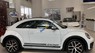 Volkswagen New Beetle 2018 - Bán xe Volkswagen New Beetle năm 2018, màu trắng, xe nhập