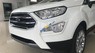 Ford EcoSport Titanium 1.5L AT 2018 - Bán Ford EcoSport Titanium 1.5 năm 2018, màu trắng tại Ninh Bình, LH 0989022295
