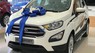 Ford EcoSport Titanium 1.5L AT 2018 - Bán ô tô Ford EcoSport Titanium 1.5L AT sản xuất năm 2018, màu trắng