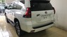 Toyota Prado VX 2019 - Giao ngay Toyota Prado VX 2019, màu trắng và đen nội thất kem
