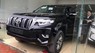 Toyota Prado VX 2019 - Giao ngay Toyota Prado VX 2019, màu trắng và đen nội thất kem