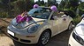 Volkswagen Beetle 2.5AT 2009 - Bán Volkswagen Beetle năm sản xuất 2009, màu kem (be), nhập khẩu nguyên chiếc