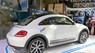 Volkswagen Beetle Dune  2018 - Bán Beetle Dune Beetle Dune, xe Đức nhập khẩu nguyên chiếc