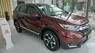 Honda CR V L 2019 - Cần bán xe Honda CR V L năm 2019, màu đỏ, nhập khẩu nguyên chiếc