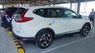 Honda CR V LE 2019 - Bán xe CRV LE phiên bản giới hạn, nhập khẩu