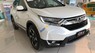 Honda CR V LE 2019 - Bán xe CRV LE phiên bản giới hạn, nhập khẩu