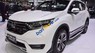 Honda CR V  1.5 LE   2018 - Cần bán xe Honda CR V 1.5 LE năm 2018, màu trắng, nhập khẩu